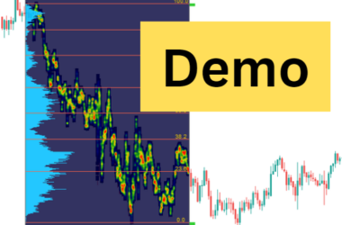 How to use the Demo-Version